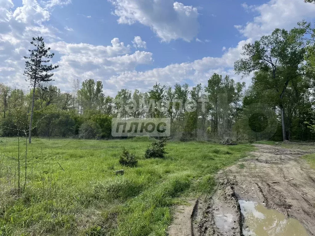 Участок 8,3 сот. (ИЖС) - Фото 1