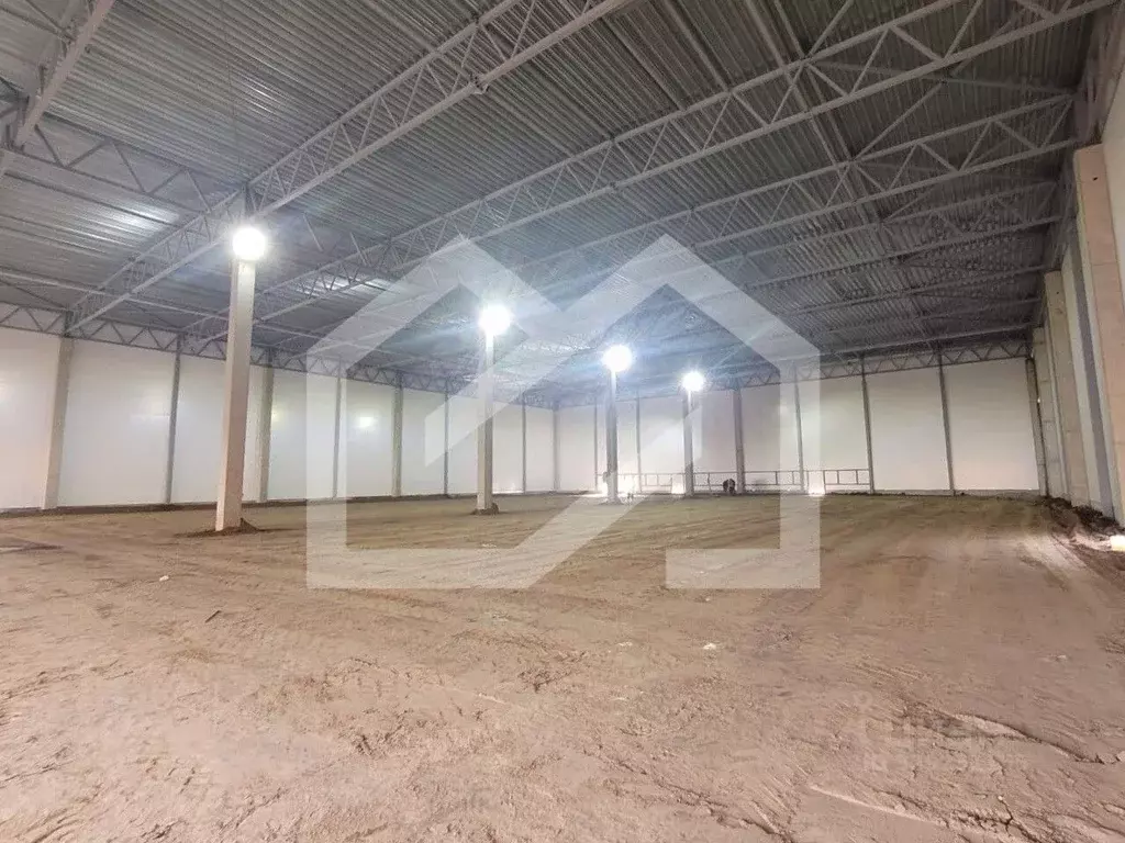 Склад в Московская область, Раменский муниципальный округ, 4/218 кв-л  ... - Фото 2