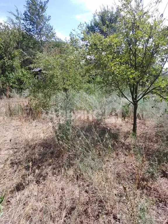 Участок в Ростовская область, Каменск-Шахтинский Спортивная ул. (5.6 ... - Фото 2