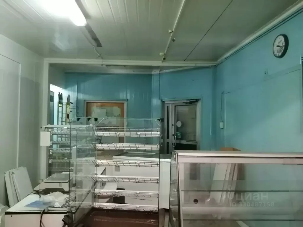 Торговая площадь в Калининградская область, Калининград ул. Александра ... - Фото 1