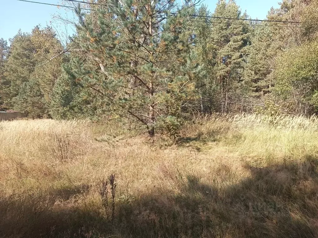 Участок в Московская область, Орехово-Зуевский городской округ, д. ... - Фото 1