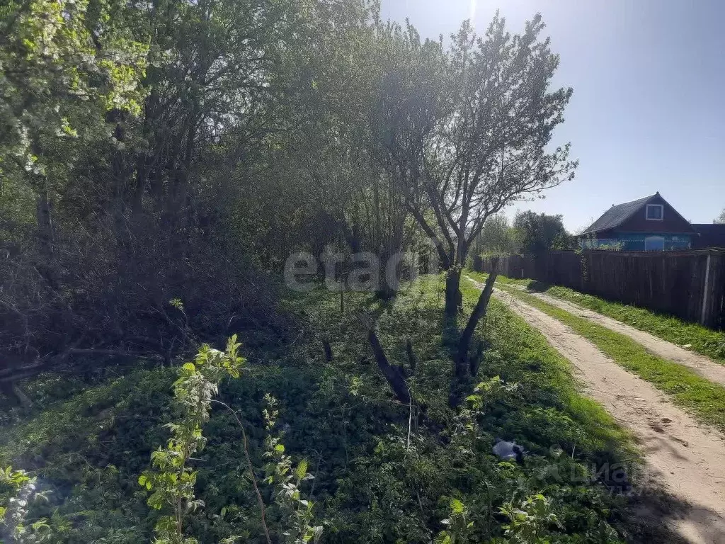 Участок в Смоленская область, Смоленск Березка СНТ, 3 (6.6 сот.) - Фото 1