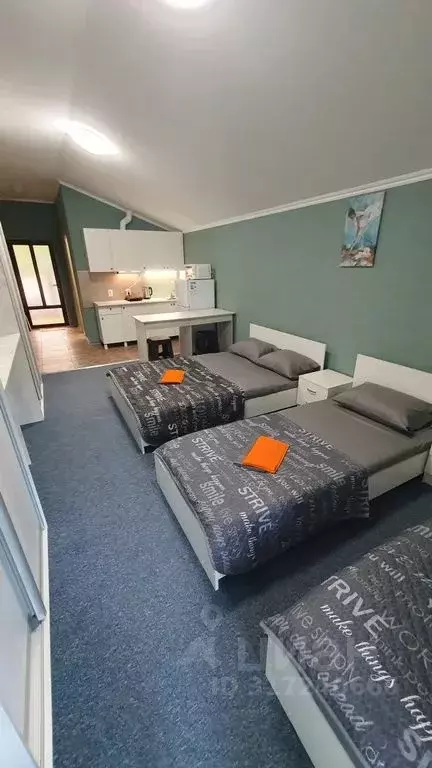 Студия Краснодарский край, Сочи Магнитогорская ул., 21/8 (30.0 м) - Фото 0