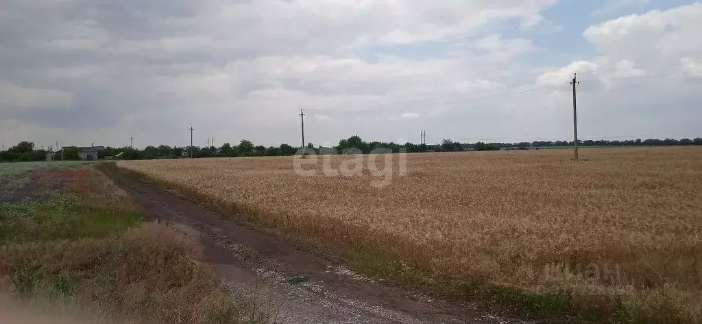 Участок в Крым, Красногвардейский район, с. Восход  (3000.0 сот.) - Фото 0