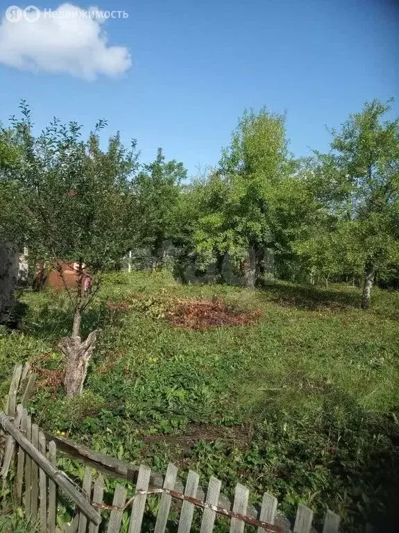 Участок в Саранск, СНТ 50 лет Октября (5.2 м) - Фото 1