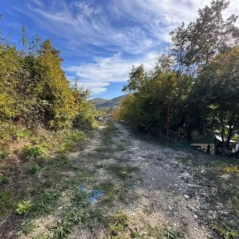 Участок в Краснодарский край, Геленджик городской округ, с. ... - Фото 1