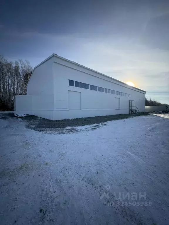 Склад в Свердловская область, Белоярский муниципальный округ, ... - Фото 1