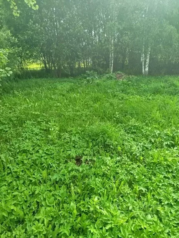 Участок в Московская область, Клин городской округ, д. Иевлево  (5.0 ... - Фото 0