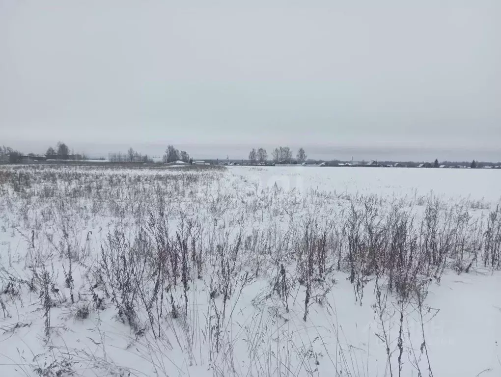 Участок в Костромская область, Костромской район, Шунгенское с/пос, д. ... - Фото 2