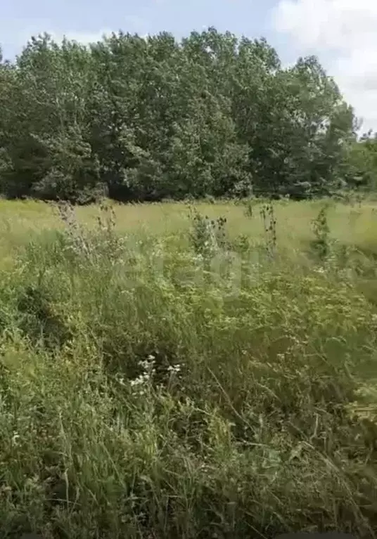 Участок в Краснодарский край, Крымский район, Южное с/пос, Южный ... - Фото 2