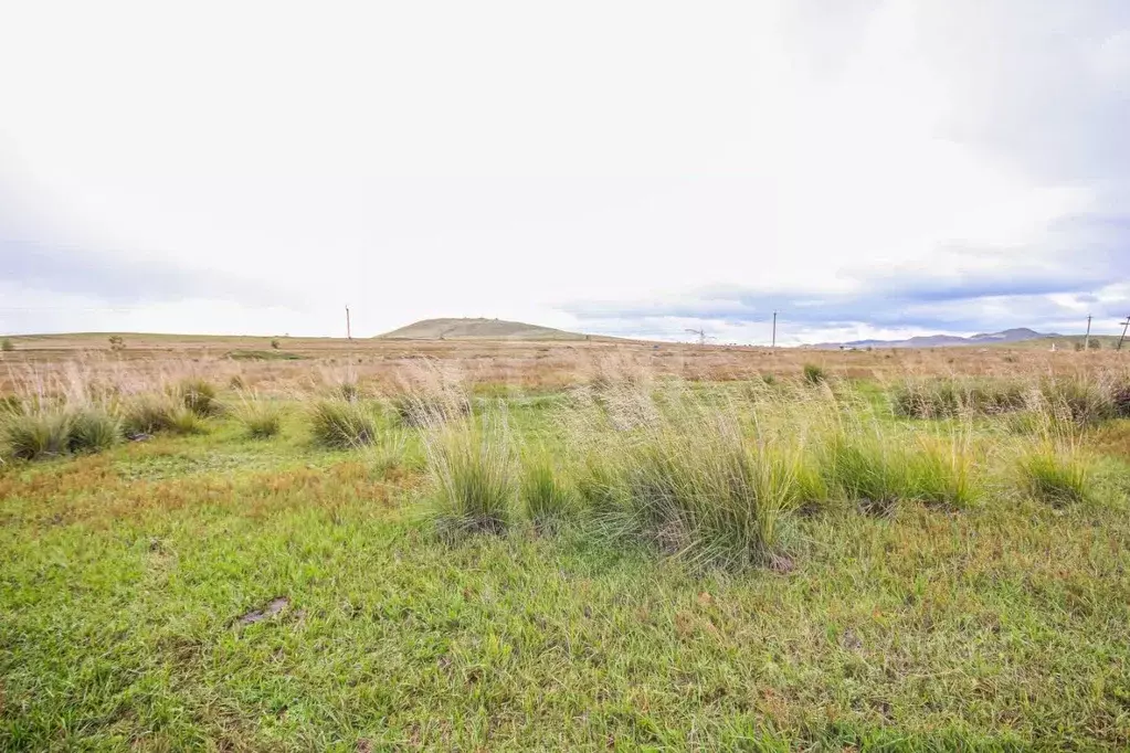 Участок в Бурятия, Иволгинский район, Нижнеиволгинское с/пос, с. ... - Фото 1