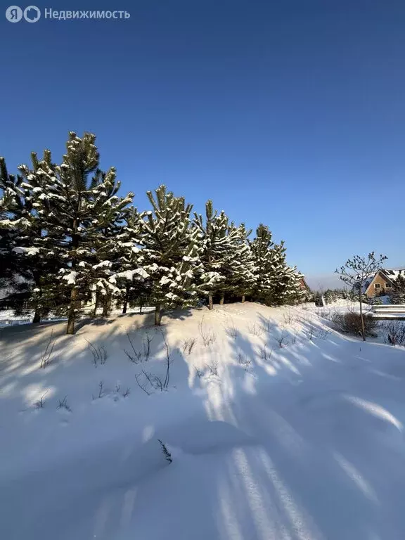 Участок в Калининградская область, Гурьевский муниципальный округ, ... - Фото 2