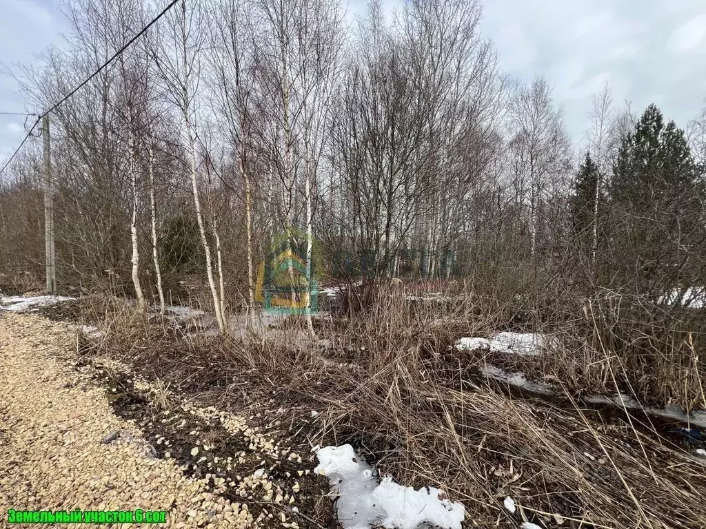 Участок в Ленинградская область, Ломоносовский район, Ропшинское ... - Фото 0