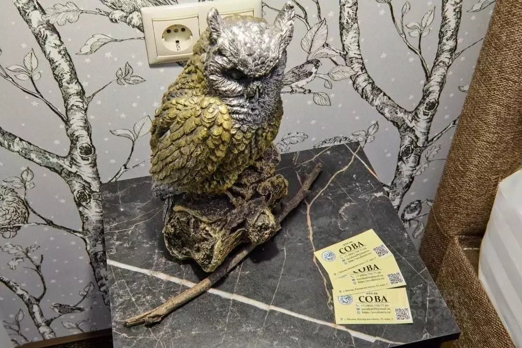 Комната Москва Каширское ш., 55К5 (10.0 м) - Фото 1