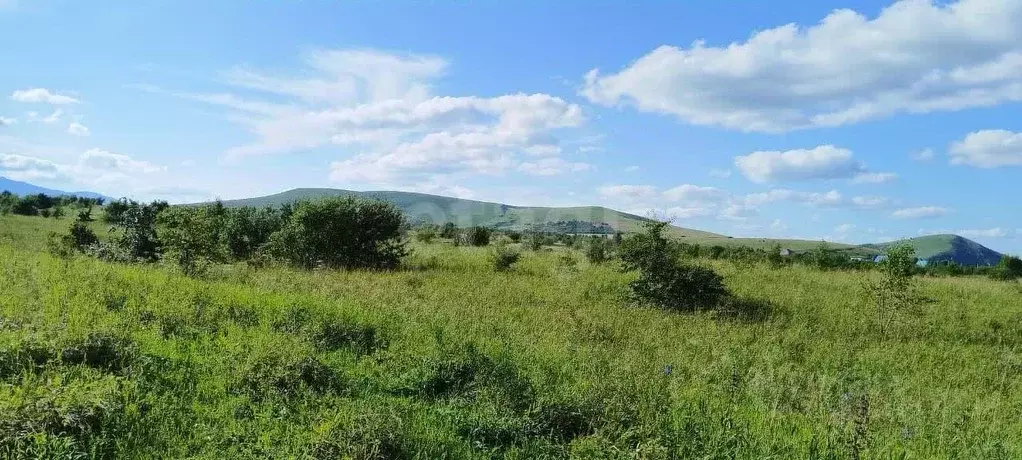 Участок в Алтайский край, Алтайский район, Айский сельсовет, ... - Фото 1
