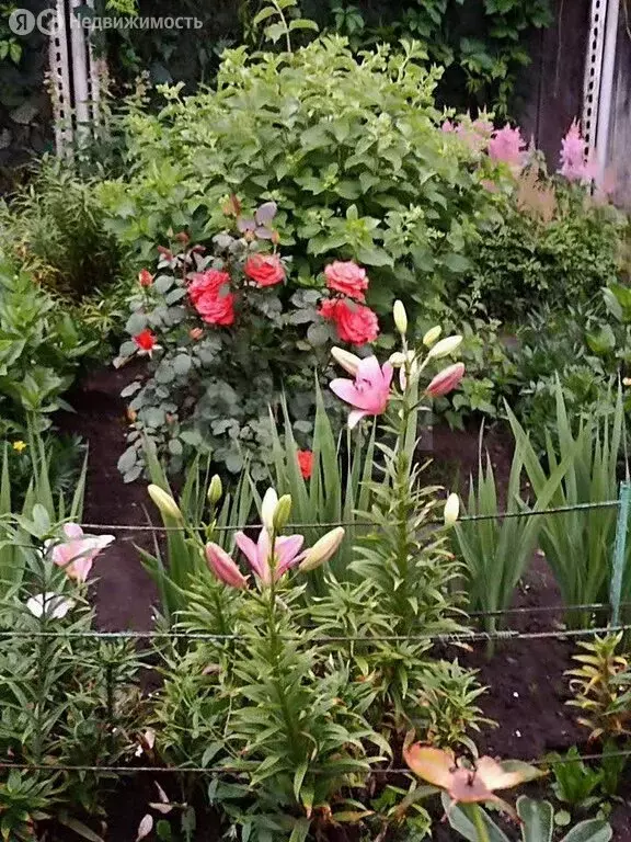 Дом в Томск, садовое товарищество Дорожник (45 м) - Фото 2