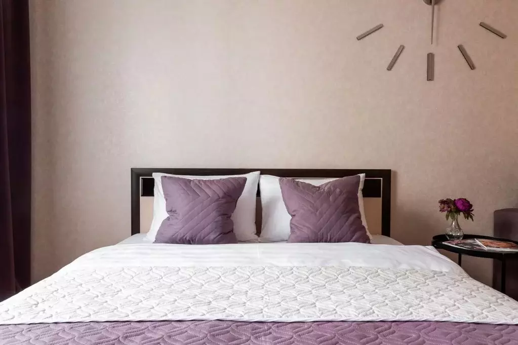 1-к кв. Новосибирская область, Новосибирск ул. Фрунзе, 20 (40.0 м) - Фото 1