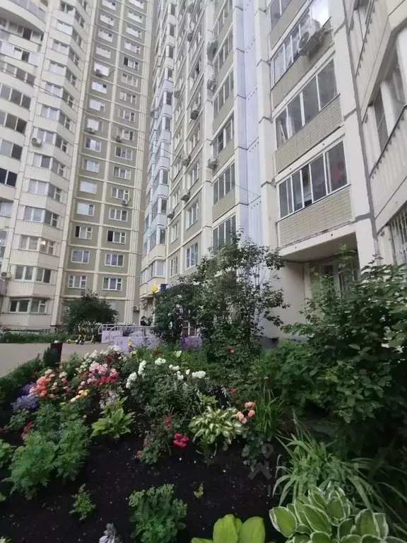 2-к кв. Московская область, Химки Молодежная ул., 74 (60.0 м) - Фото 1