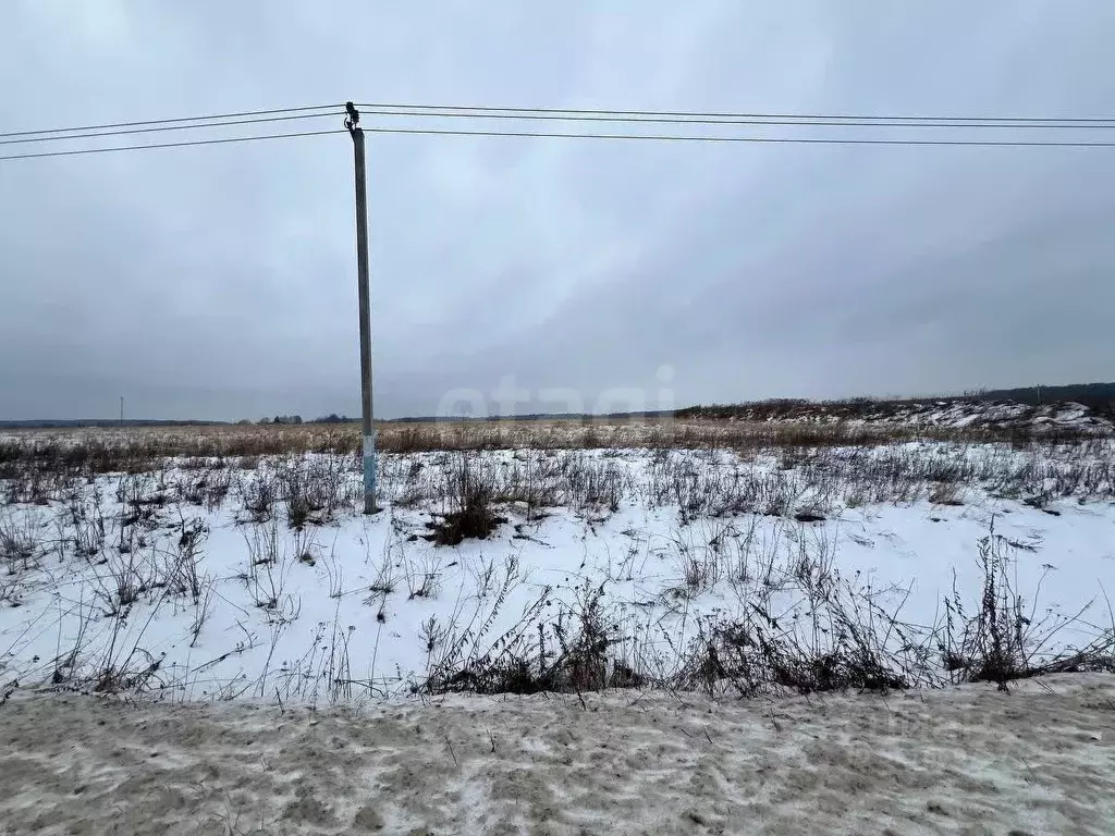 Участок в Московская область, Ступино городской округ, Торбеево-1 тер. ... - Фото 1