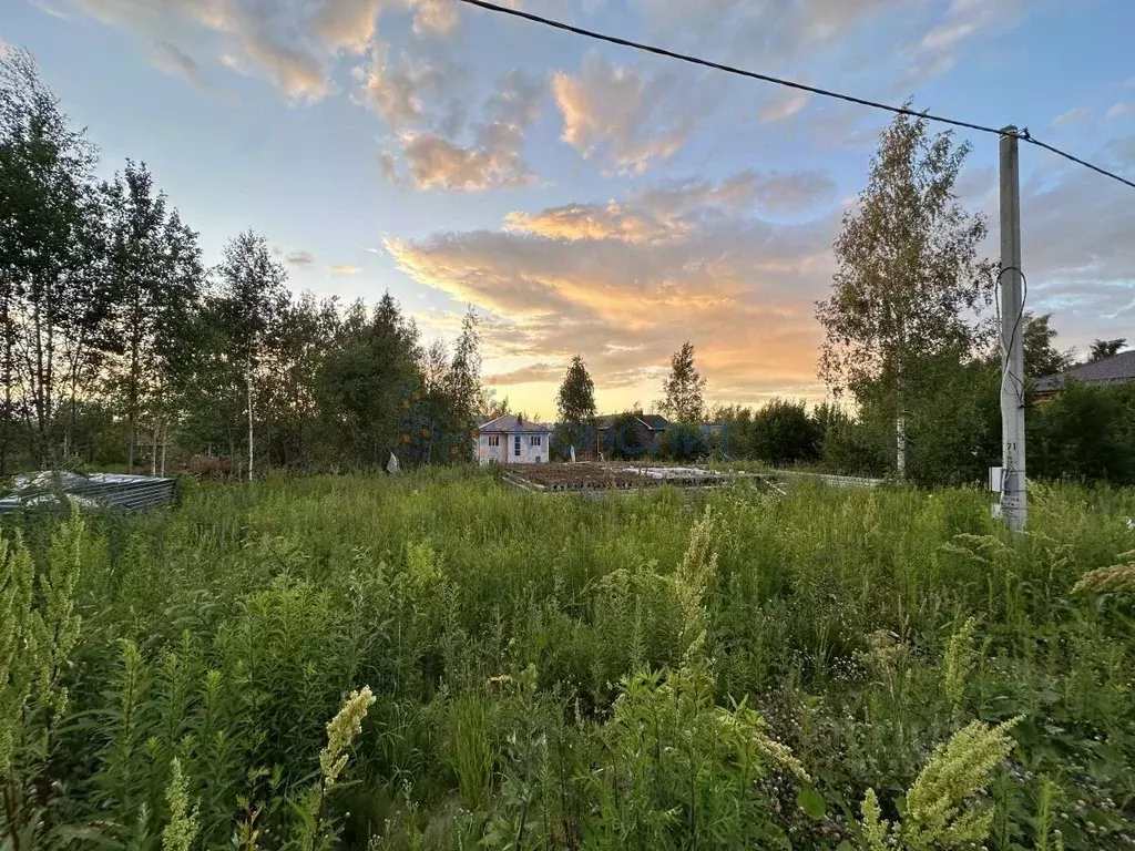 Участок в Нижегородская область, Нижний Новгород Надежда ТИЗ, 109 ... - Фото 2