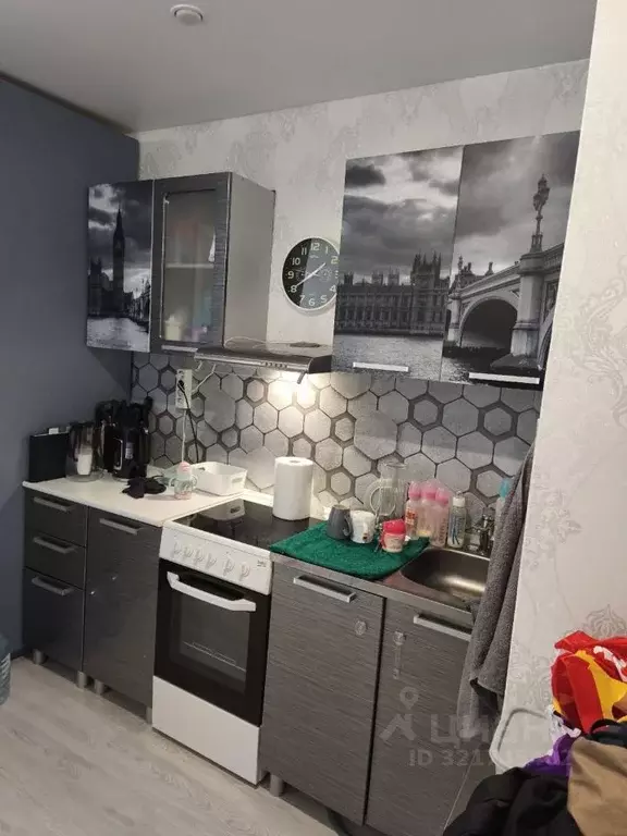 Студия Ленинградская область, Никольское Тосненский район, Октябрьская ... - Фото 0