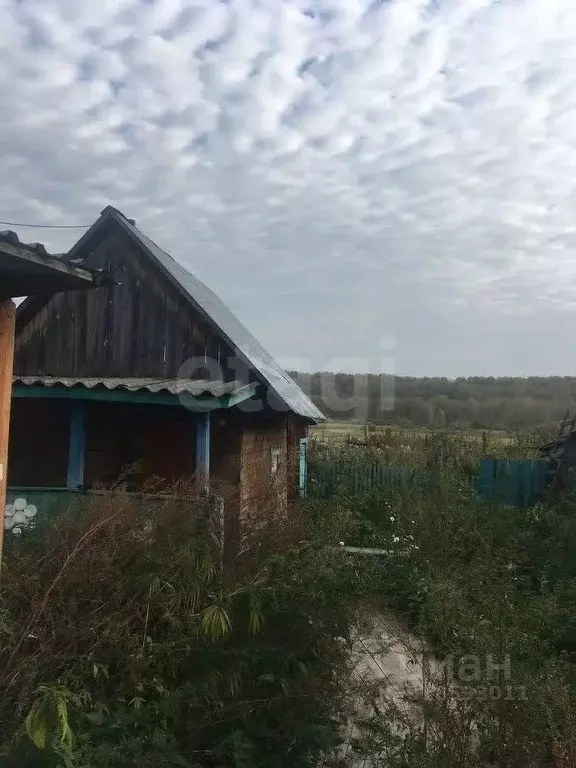 Дом в Новосибирская область, Болотнинский район, д. Малиновка ... - Фото 1