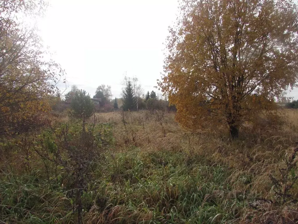 Участок в Московская область, Коломна городской округ, д. Печенцино  ... - Фото 1