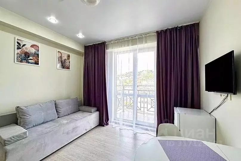 1-к кв. Краснодарский край, Сочи ул. Тимирязева, 34Бк1 (30.0 м) - Фото 1