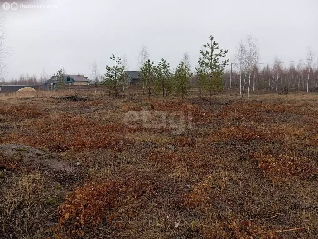 Участок в село Хвощеватка, Васильковая улица (1036 м) - Фото 2