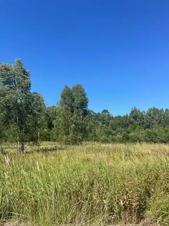 Участок в Москва Вороновское поселение, Вороновское СНТ,  (10.34 сот.) - Фото 1