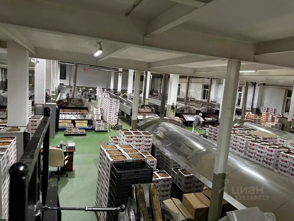 Производственное помещение в Санкт-Петербург дор. Нефтяная, 1 (7000 м) - Фото 2