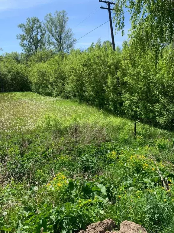 Участок в Башкортостан, Иглинский район, с. Охлебинино ул. 8 Марта, 2 ... - Фото 1