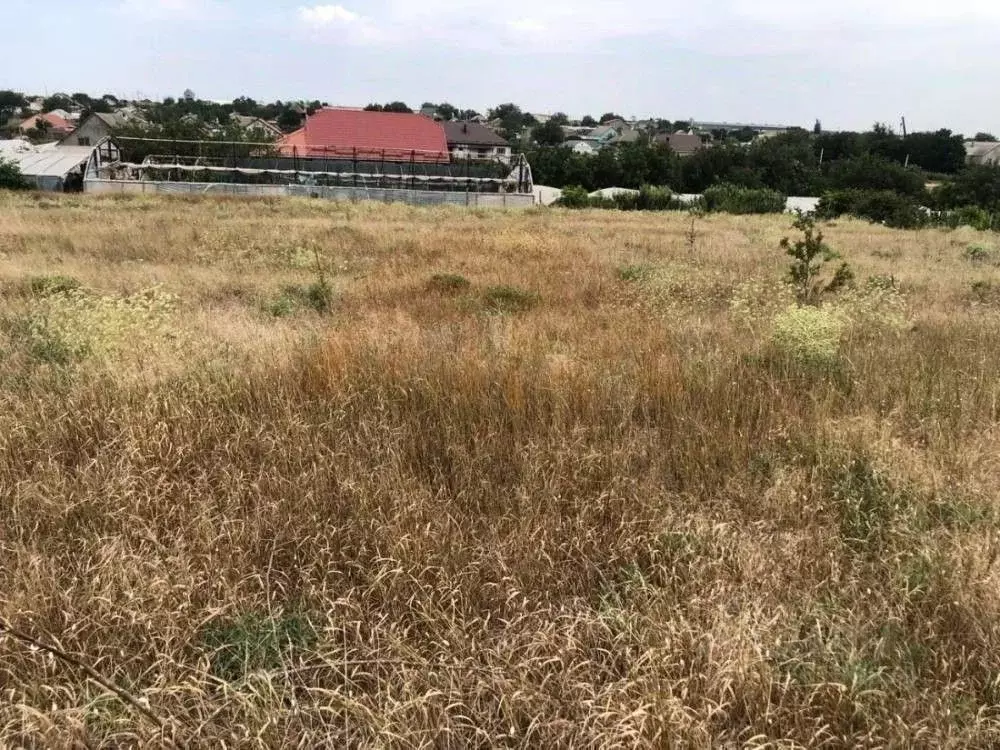 Участок в Крым, Сакский район, Ореховское с/пос, с. Червоное ул. ... - Фото 1