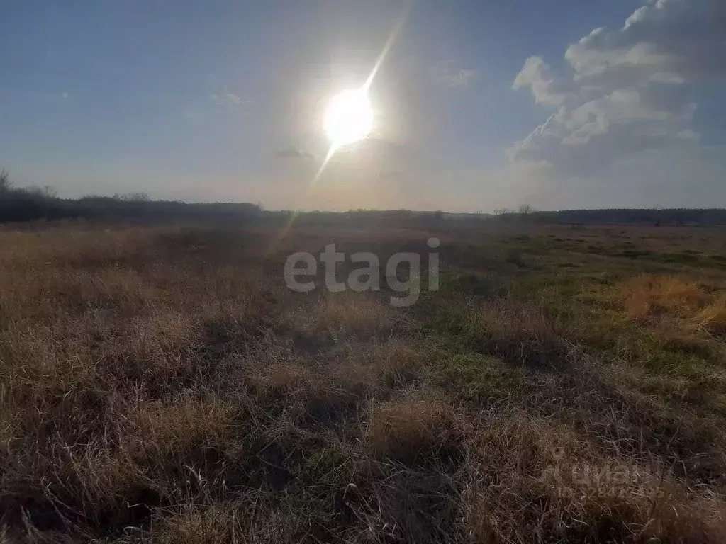 Участок в Белгородская область, Валуйский муниципальный округ, с. ... - Фото 1