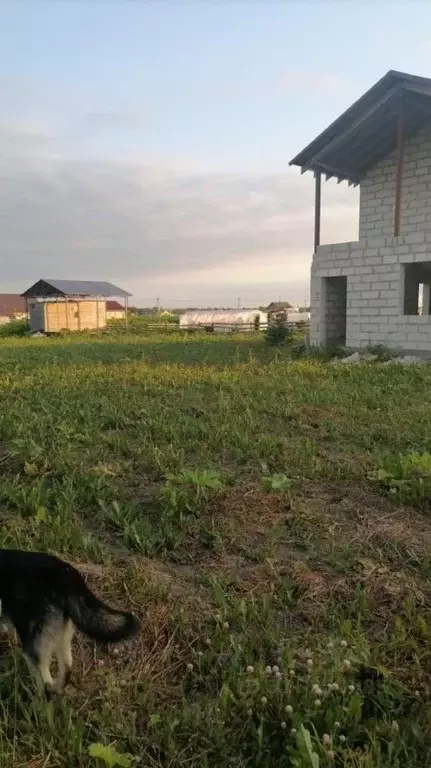 Участок в Ленинградская область, Ломоносовский район, Ропшинское ... - Фото 1