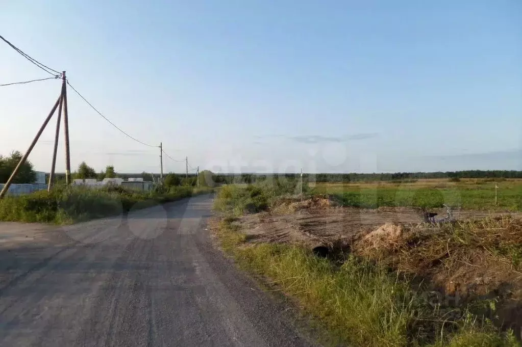 Участок в Вологодская область, Череповецкий район, Ирдоматское с/пос  ... - Фото 2