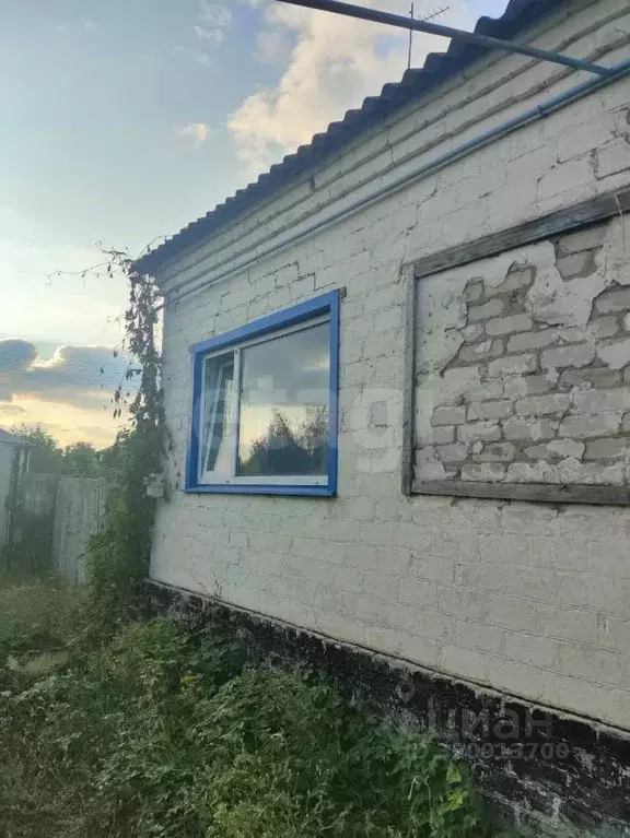 Дом в Белгородская область, Ровеньки городское поселение, Ровеньки рп ... - Фото 1