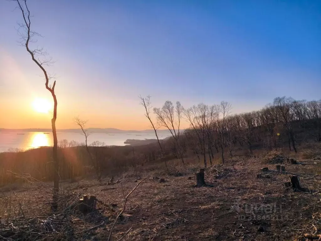 Участок в Приморский край, Находка пос. Врангель, ул. Осенняя (13.0 ... - Фото 0