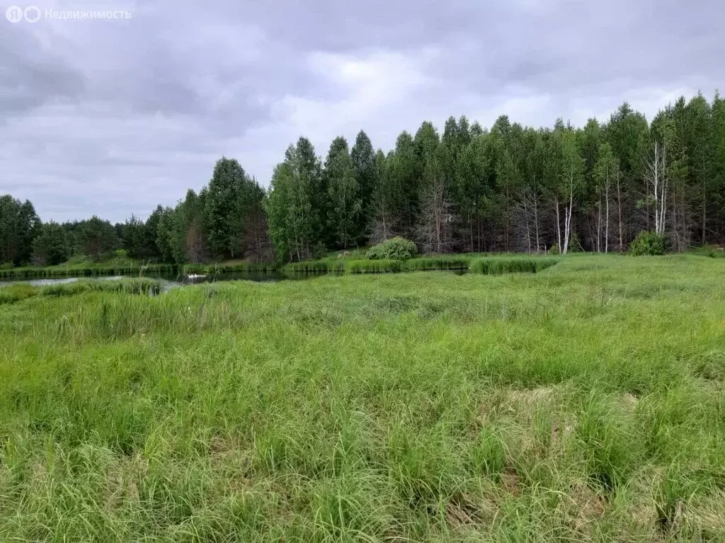 Участок в Свердловская область, Невьянск (1934 м) - Фото 2