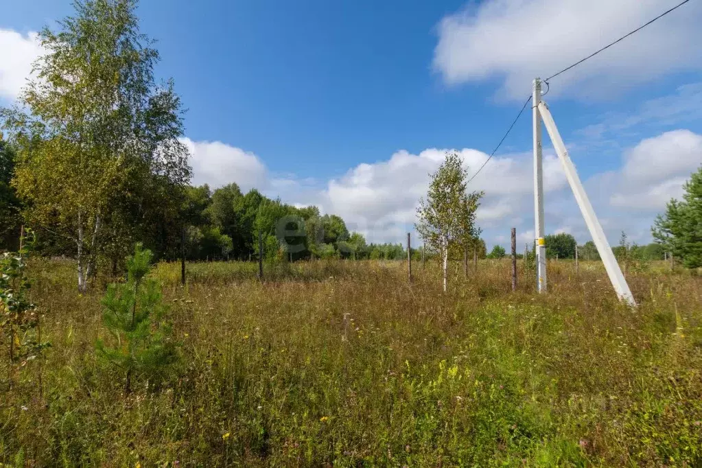Участок в Тюменская область, Нижнетавдинский муниципальный округ, ... - Фото 1