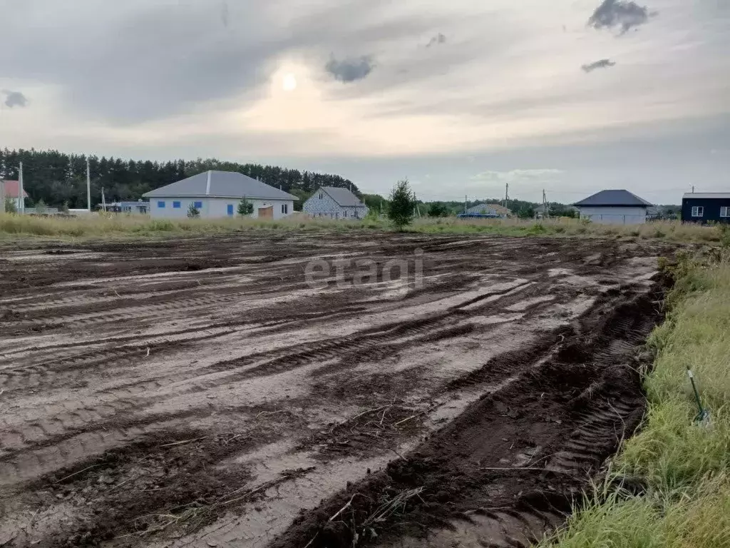 Участок в Новосибирская область, Бердск ул. Валерия Чкалова (10.9 ... - Фото 0