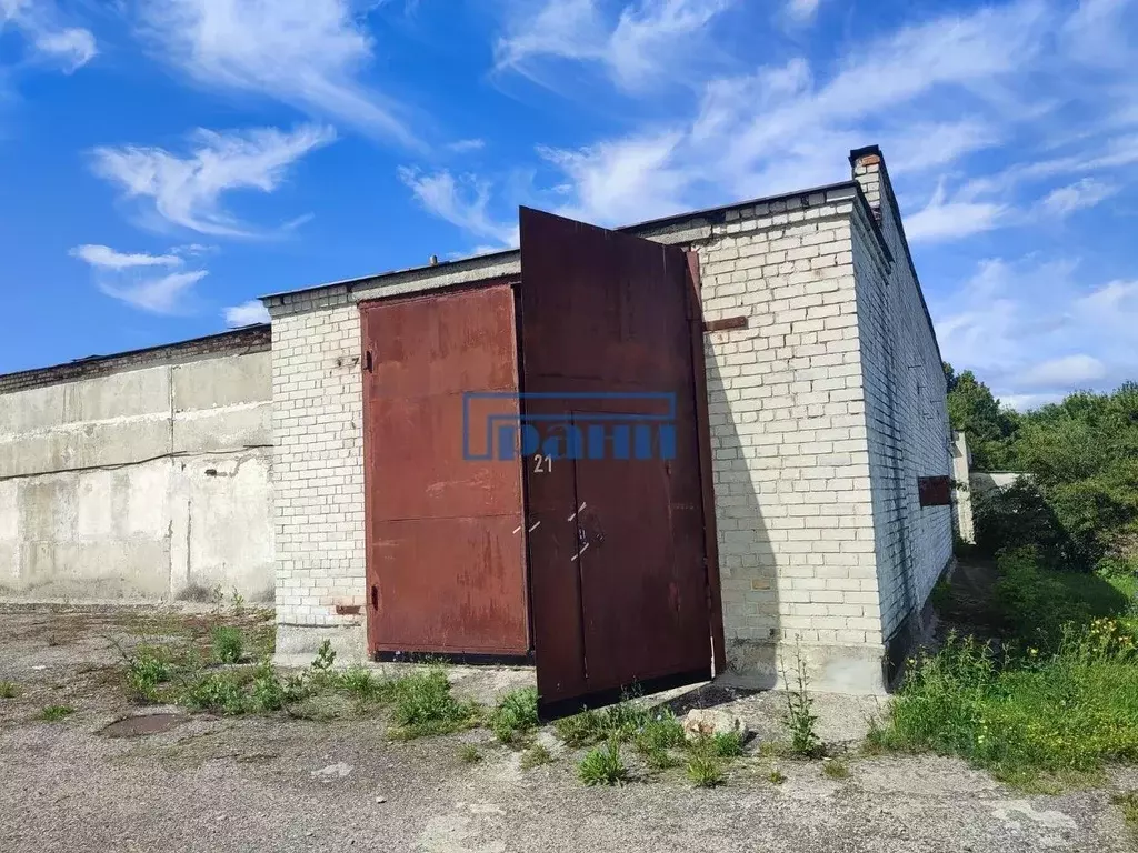 Склад в Курская область, Курский район, Камышинский сельсовет, д. ... - Фото 2