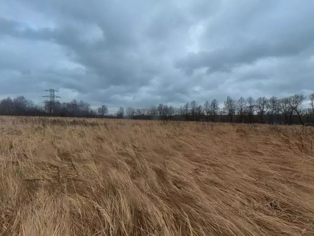 Участок в Москва с. Ознобишино, ул. Сиреневая (42.0 сот.) - Фото 2