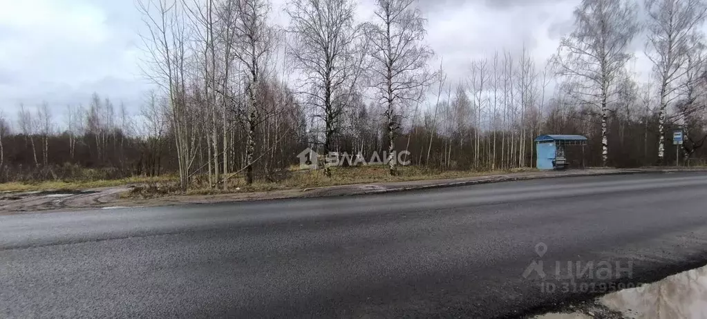 Участок в Ярославская область, Рыбинск Силовая ул. (12.0 сот.) - Фото 1