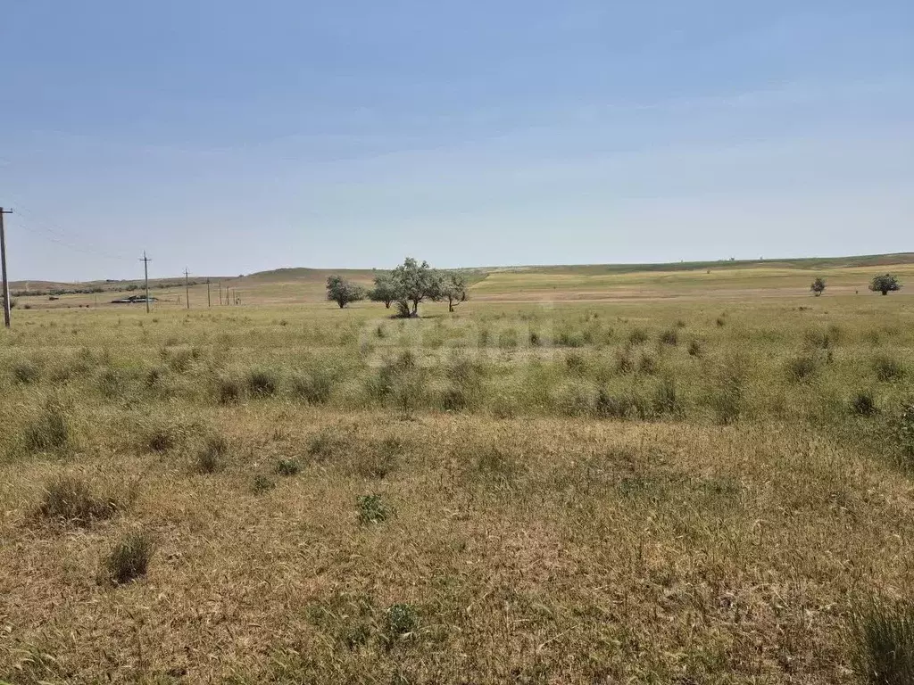 Участок в Крым, Кировский район, Журавское с/пос, с. Видное ул. ... - Фото 1