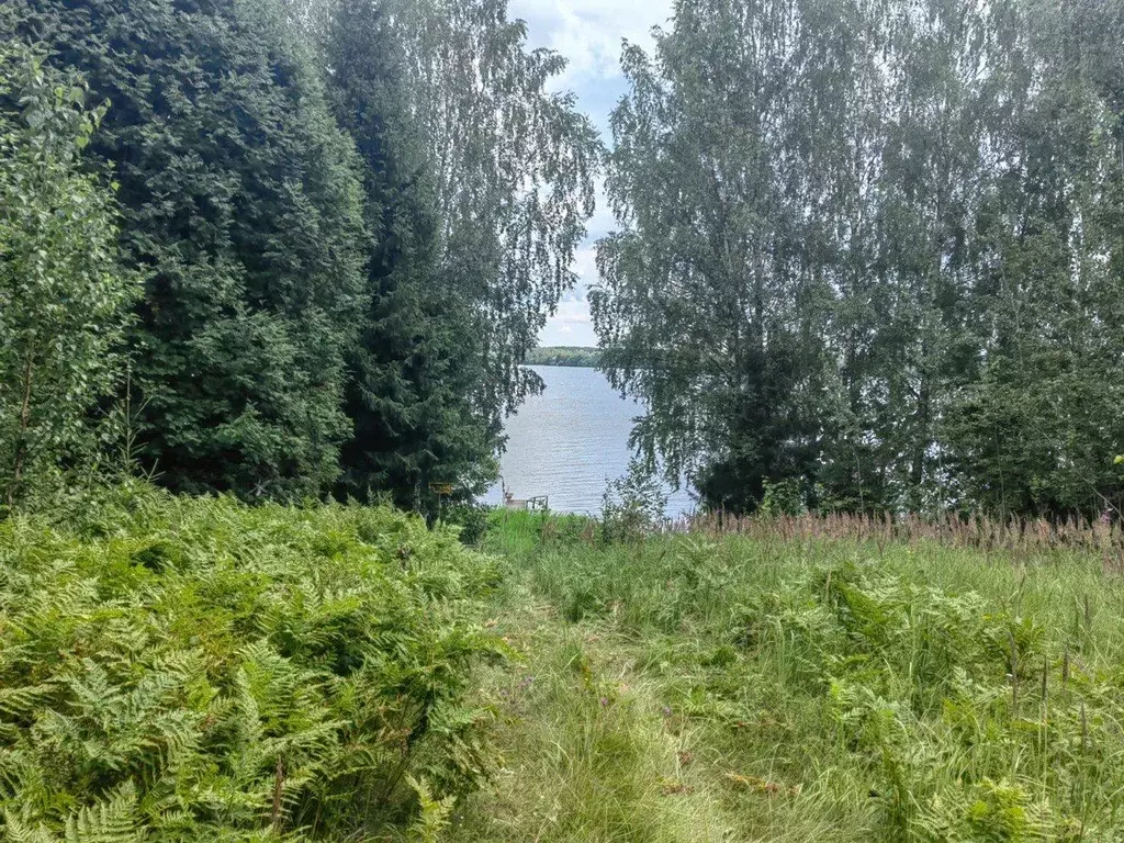 Участок в Тверская область, Кашинский муниципальный округ, д. ... - Фото 1