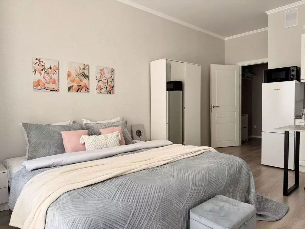 1-к кв. Санкт-Петербург пос. Шушары, ул. Нины Петровой, 6к5 (24.0 м) - Фото 0