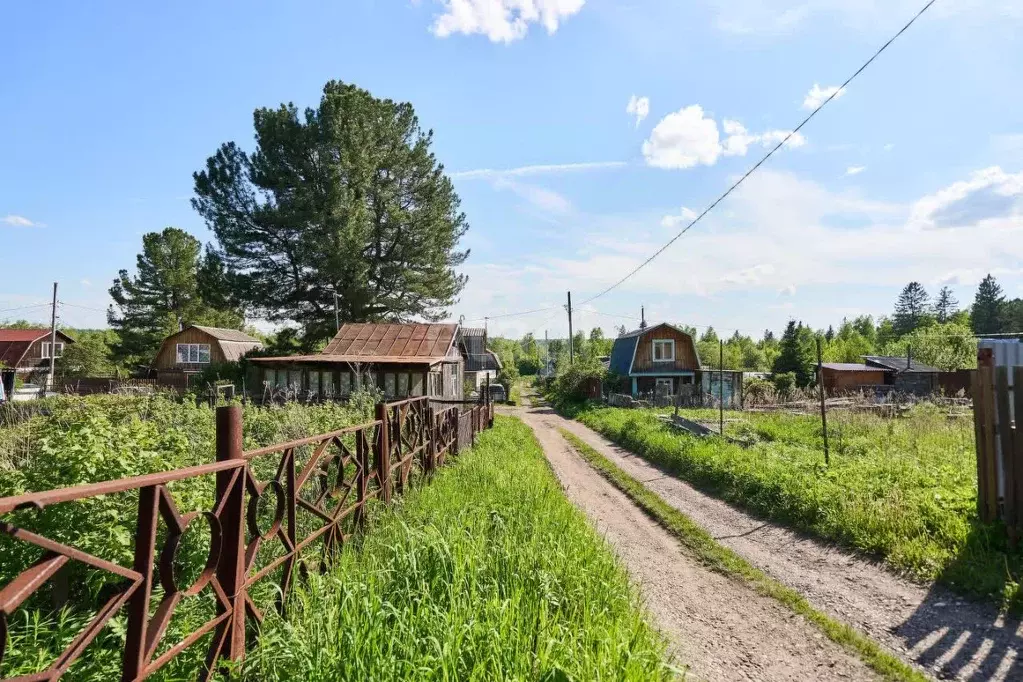 Участок в Томская область, Томский район, Богашевское с/пос, Лесник-2 ... - Фото 2