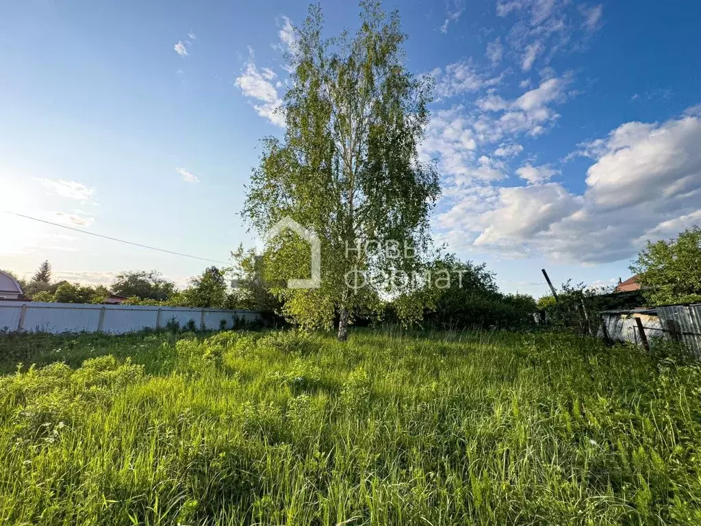 Участок в Московская область, Щелково городской округ, СНТ Борисовка ... - Фото 2
