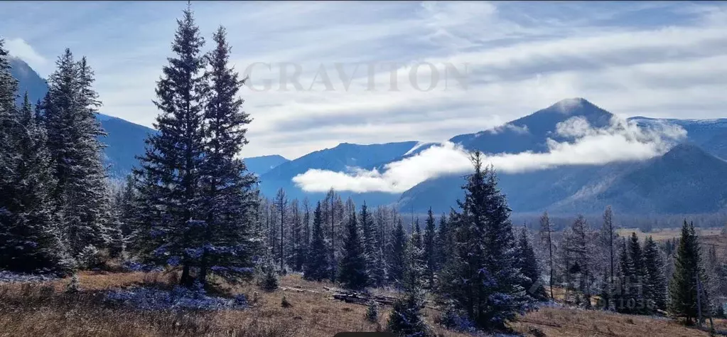 Участок в Алтай, Усть-Коксинский район, с. Катанда  (6.18 га.) - Фото 2